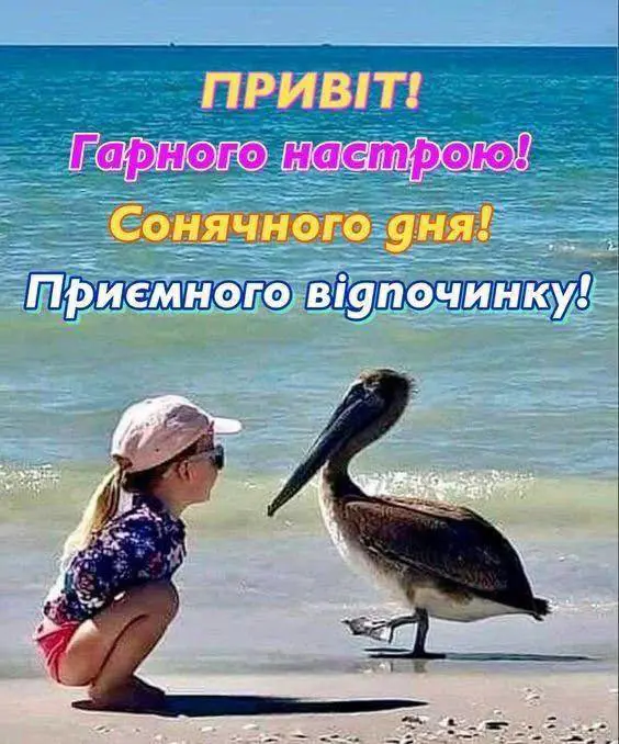7309.jpg