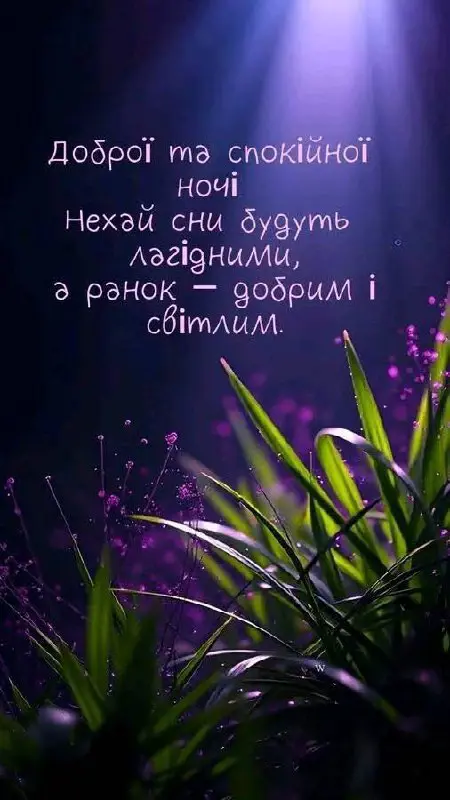 7330.jpg