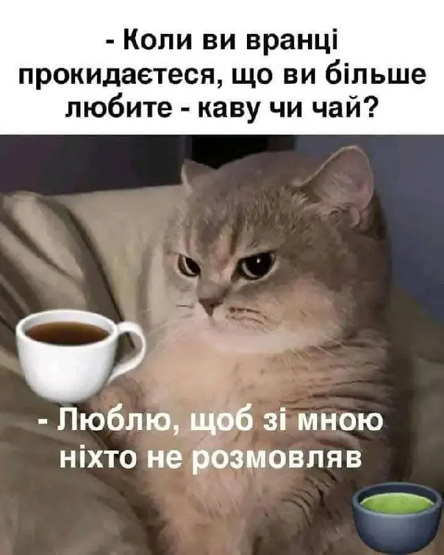 7370.jpg