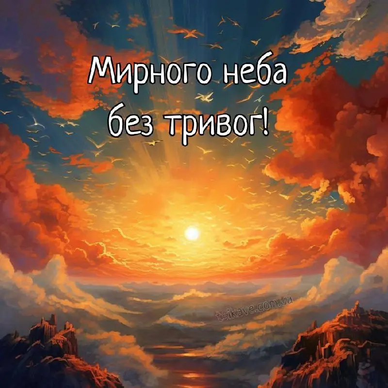 7404.jpg