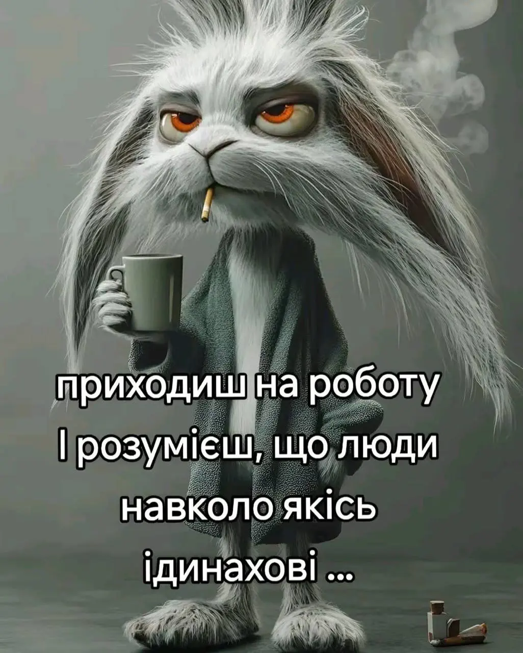 7409.jpg