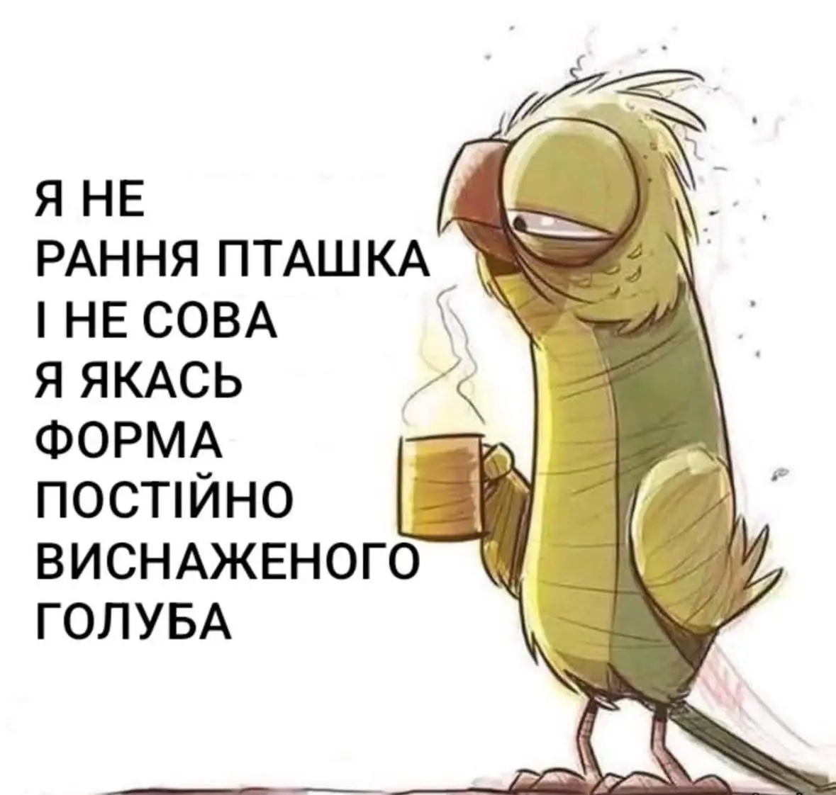 7519.jpg