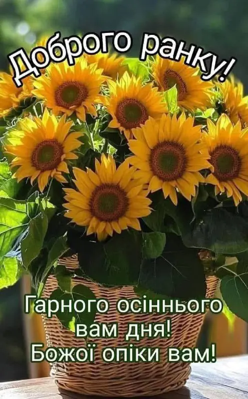 7590.jpg