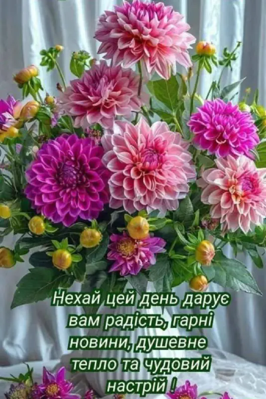 7629.jpg