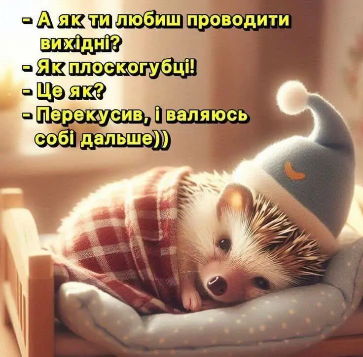 7688.jpg