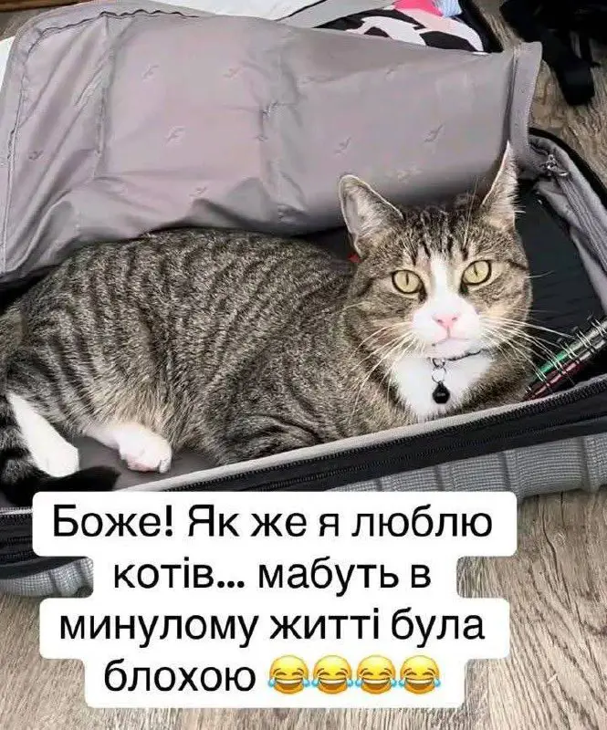 7690.jpg