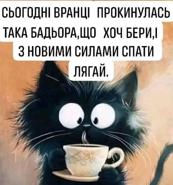 7698.jpg