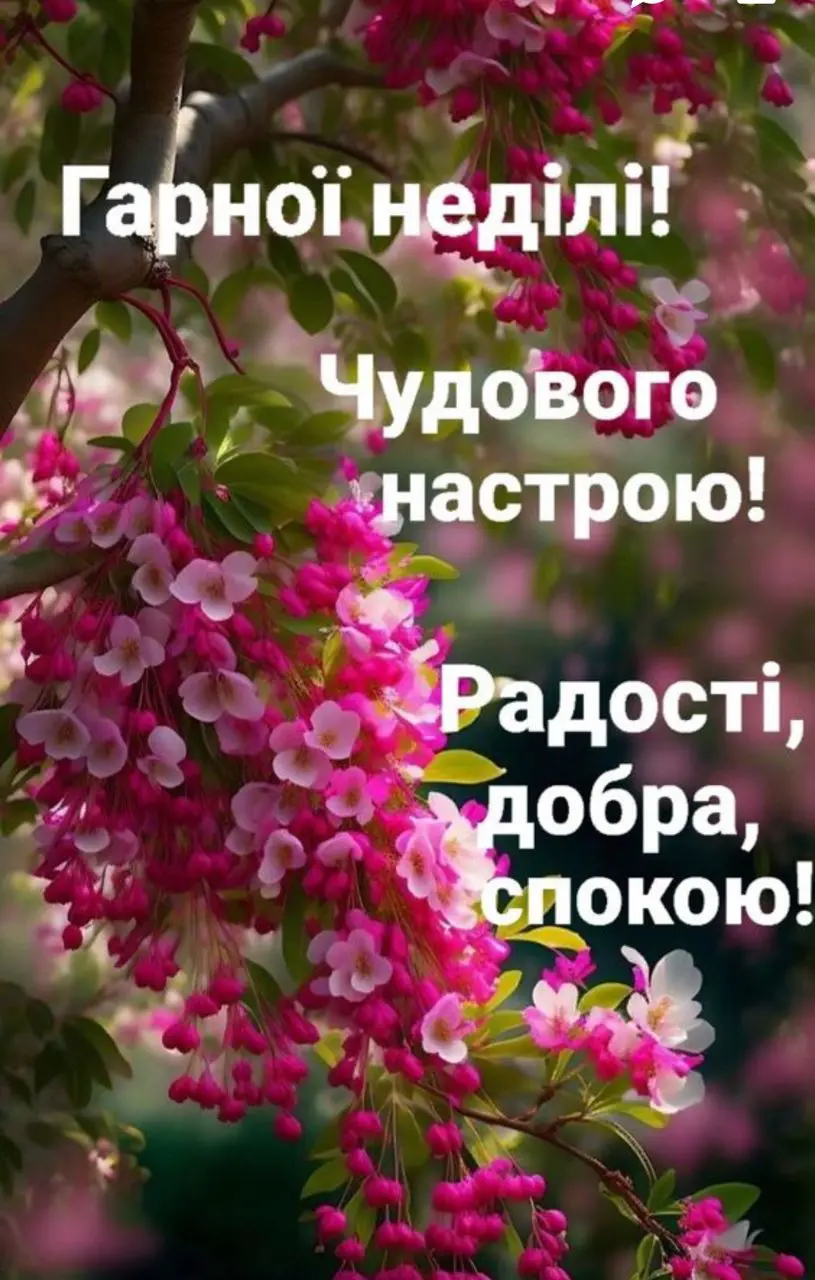 770.jpg