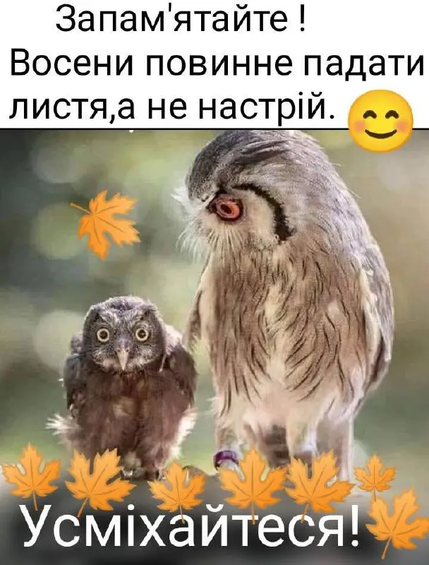 7703.jpg