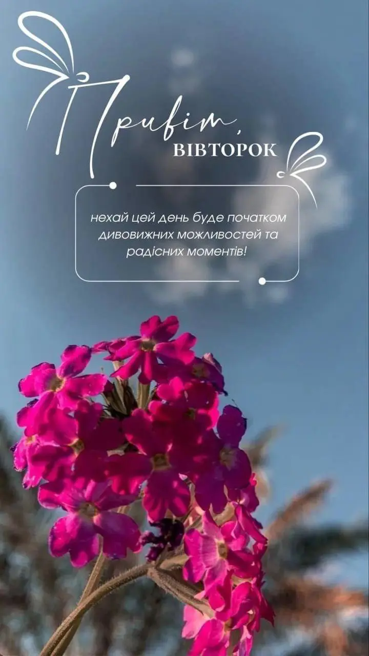 789.jpg