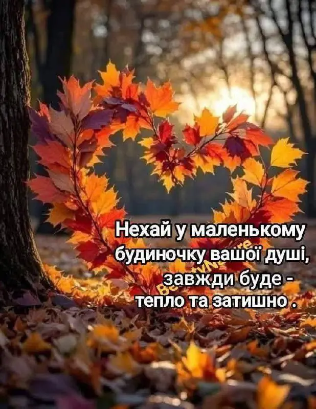 8090.jpg