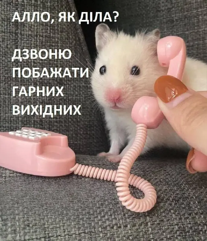 8094.jpg