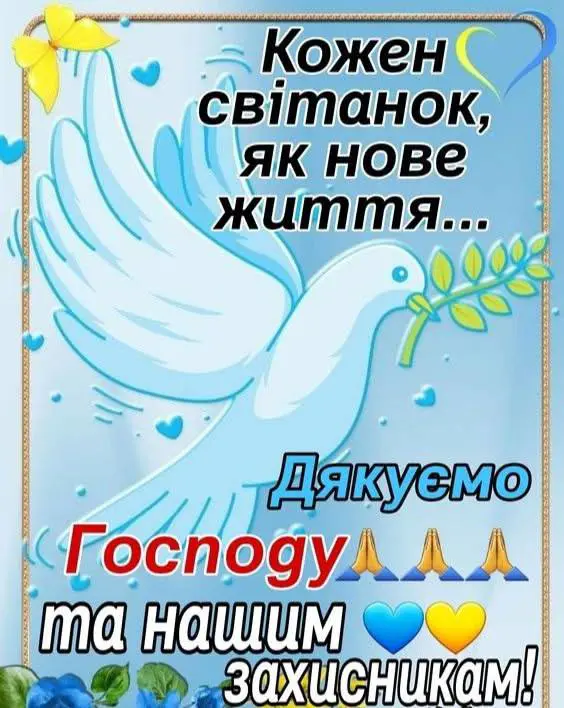 8097.jpg