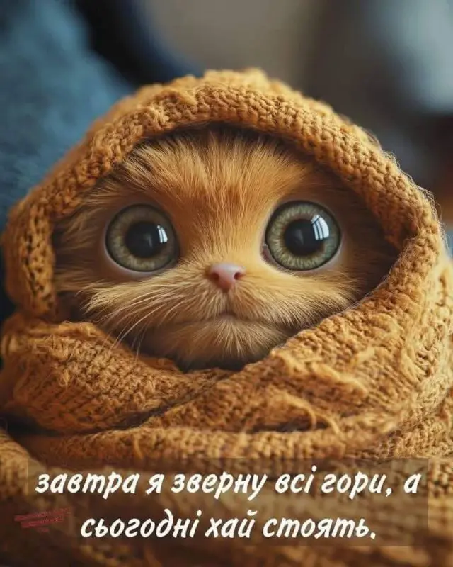 8153.jpg