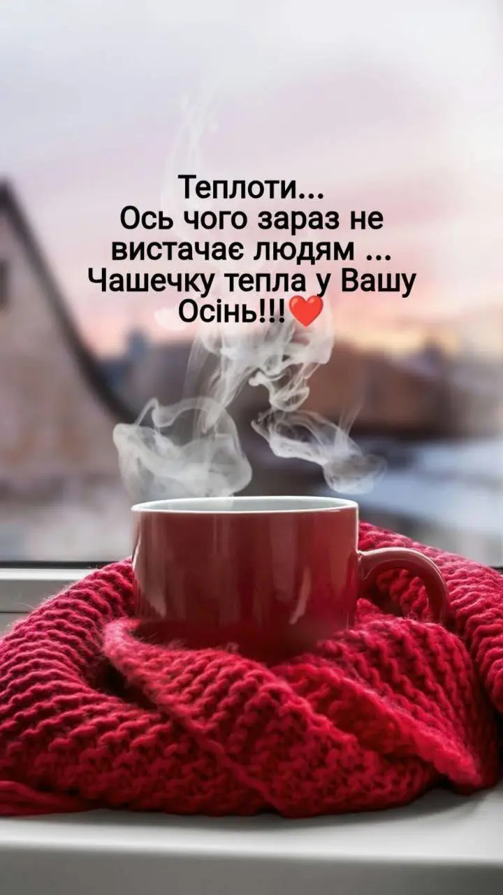 8167.jpg
