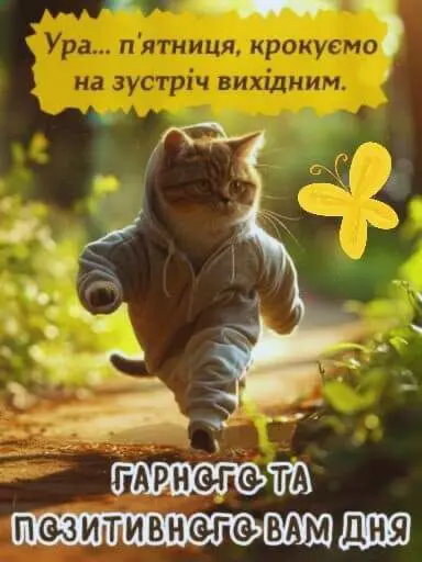888.jpg