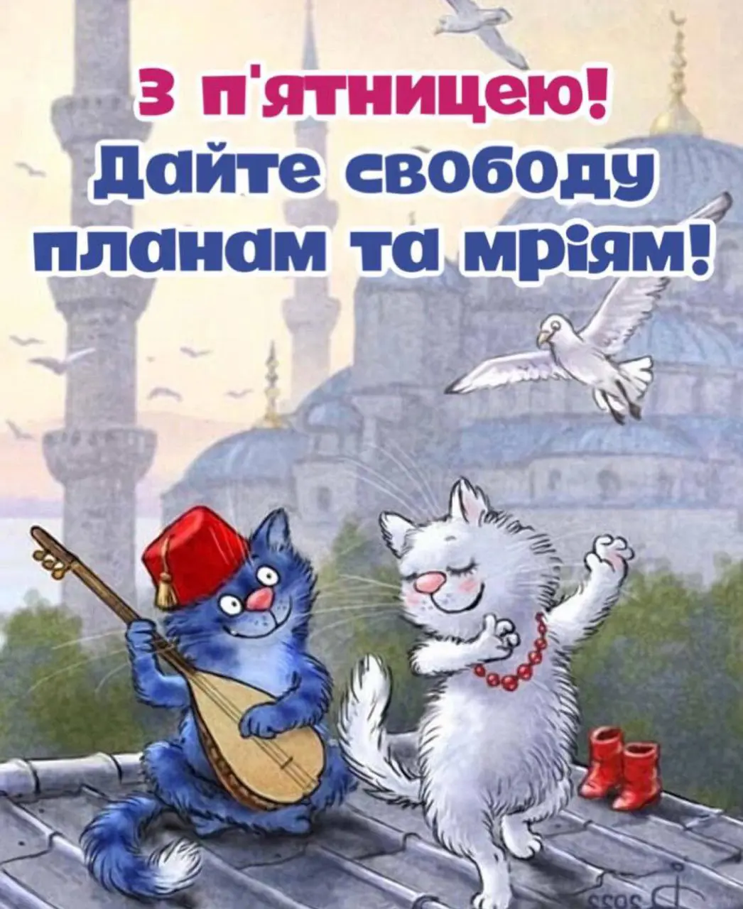 892.jpg